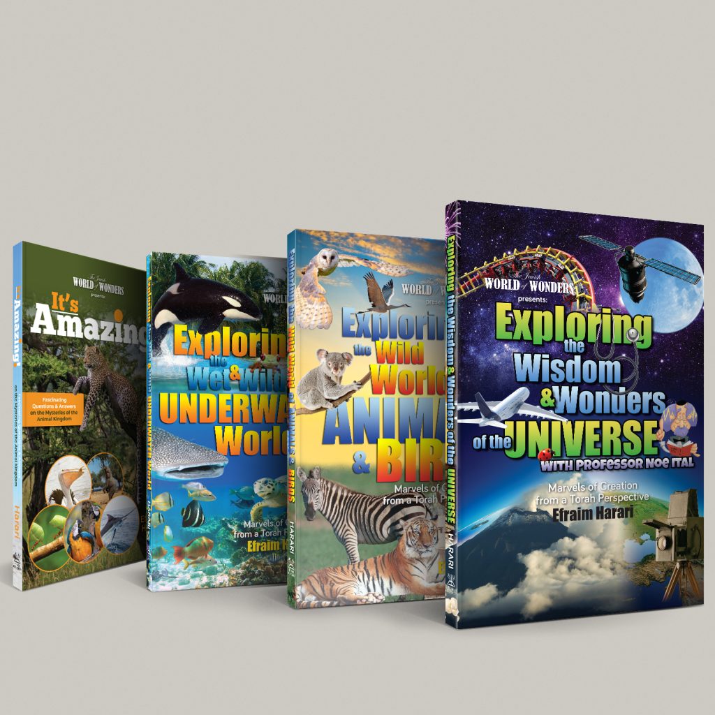 World of Wonders Book Series